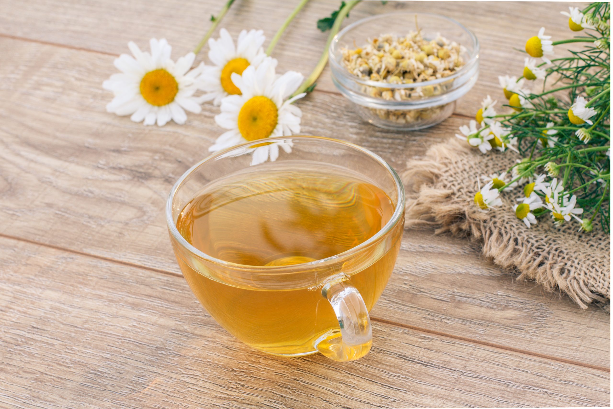 Glass cup of green tea with fresh and dry white chamomile flowers on wooden background.